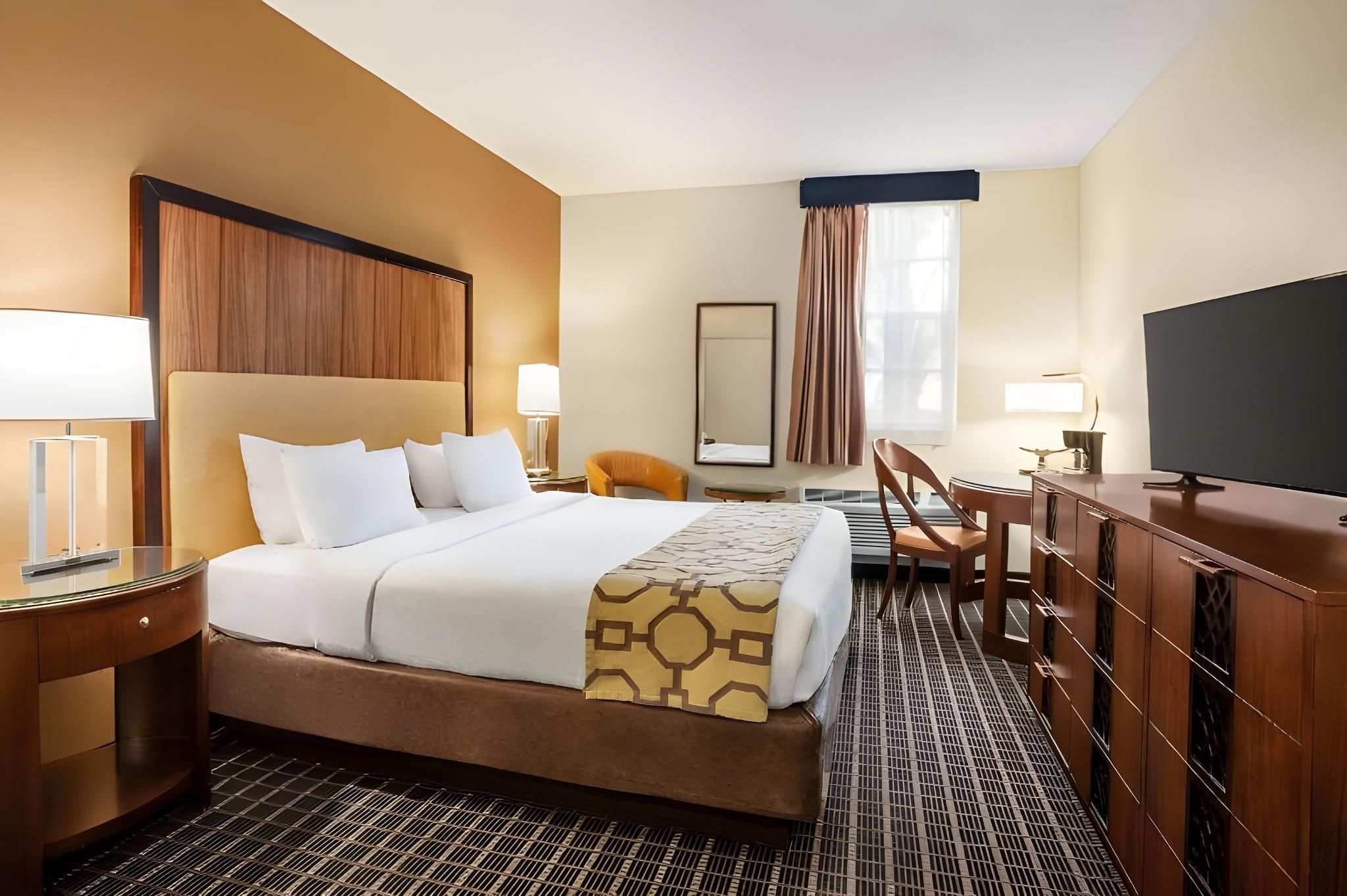 Accessible Double Room (Wheelchair Accessible)