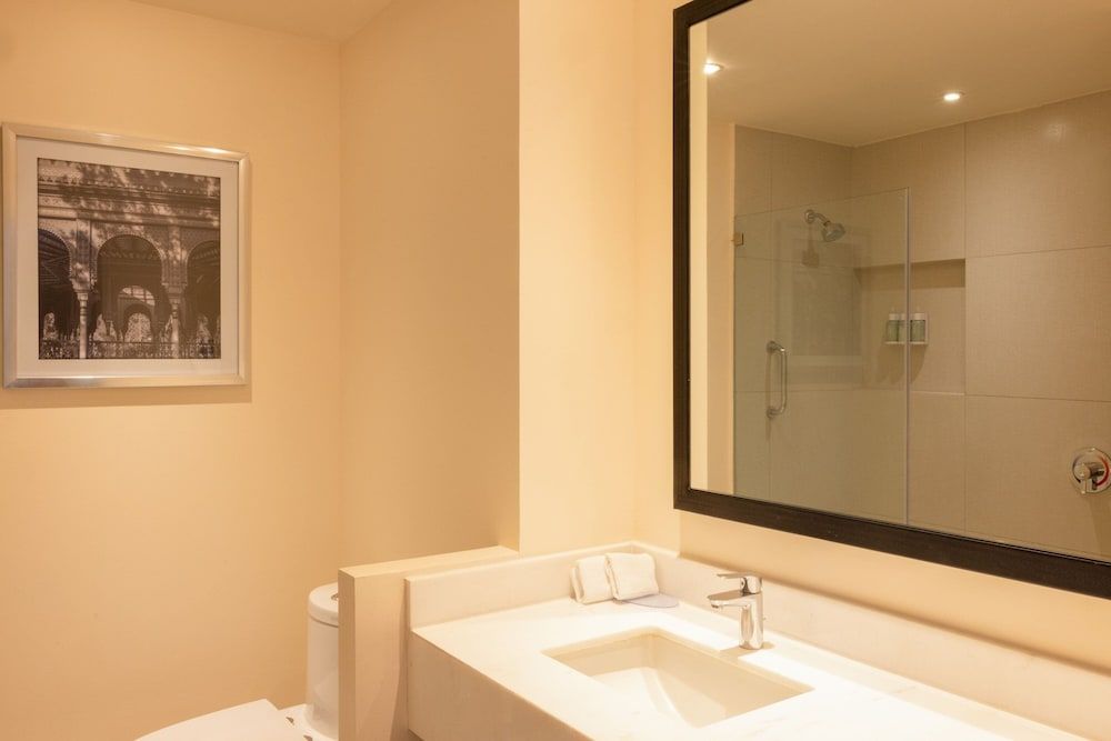 Fairfield Inn & Suites Mexico City Vallejo Room, 1 King Bed, Non Smoking 5