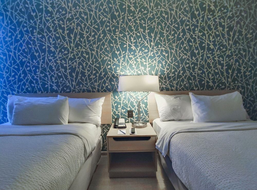 undefined Courtyard Mexico City Vallejo 8