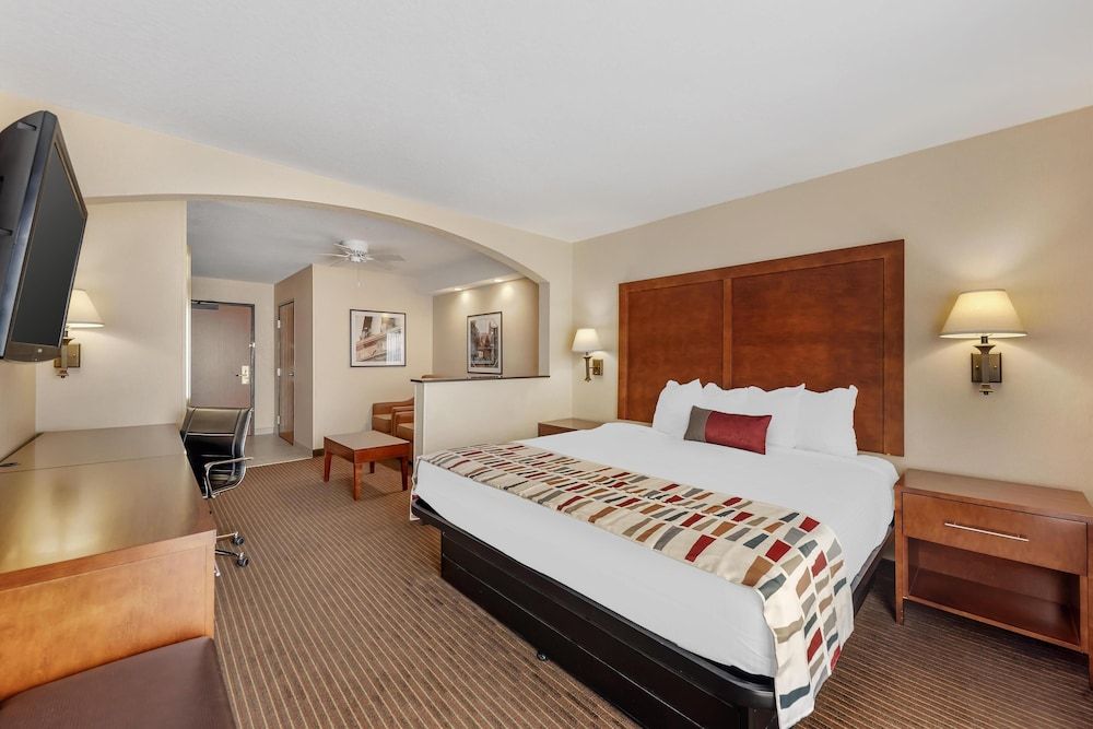 Suite, 1 King Bed, Non Smoking, Refrigerator & Microwave (with Sofabed)