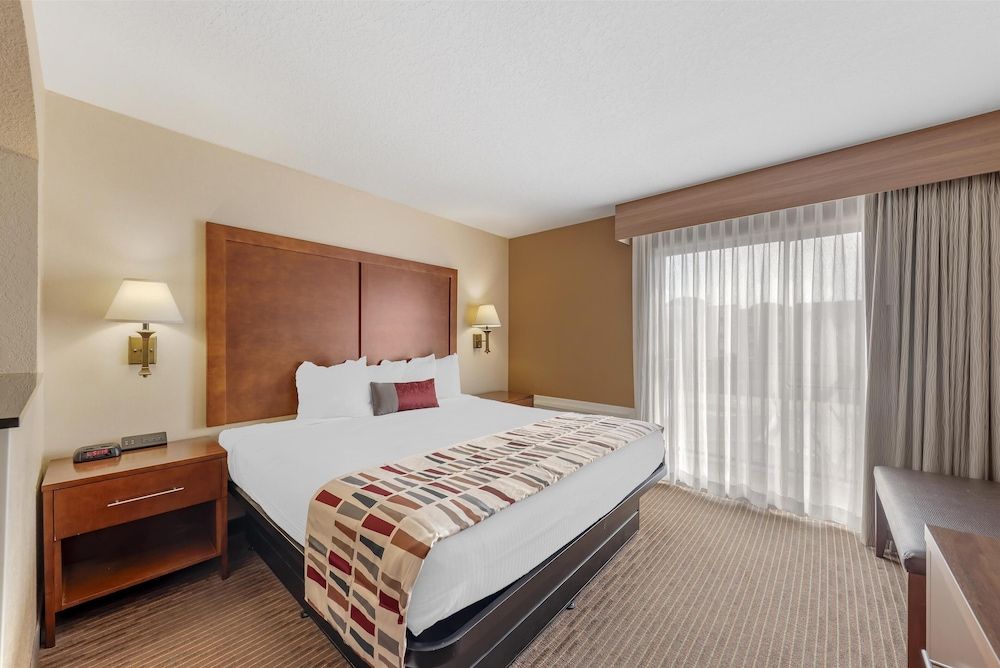 Suite, 1 King Bed, Non Smoking, Refrigerator & Microwave (with Sofabed)