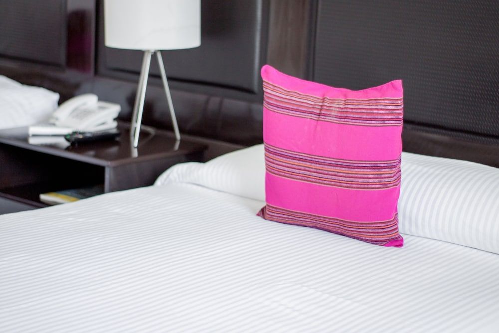 Chiapas Hotel Express Standard Double Room, 1 King Bed 8