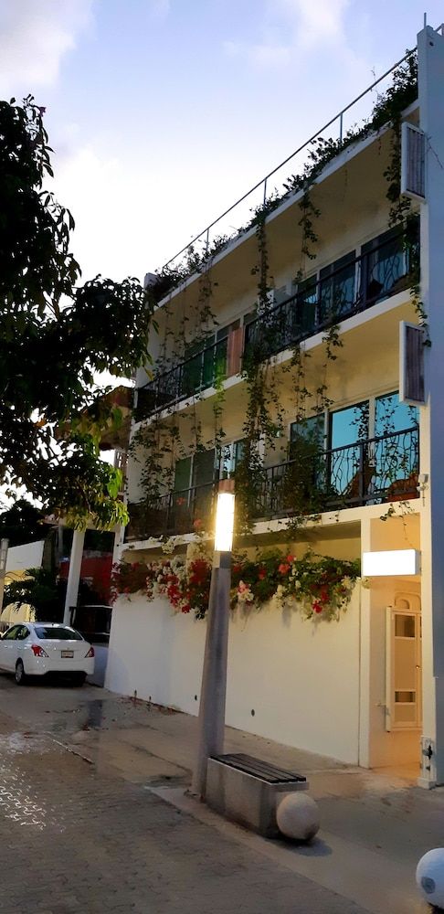 undefined Ocean Zen Suites on 5th Avenue - Adults Only 10