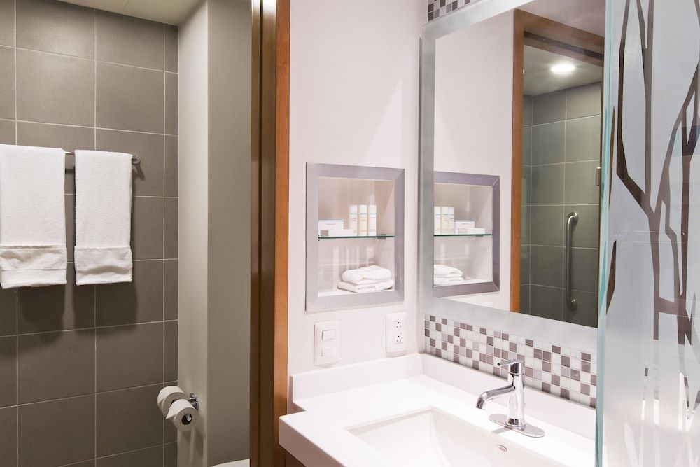 Hampton Inn & Suites by Hilton Paraiso Room, 1 Queen Bed, Accessible, Non Smoking (Roll-in Shower) 4