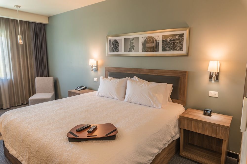 Room, 1 King Bed, Accessible, Non Smoking (Roll In Shower)