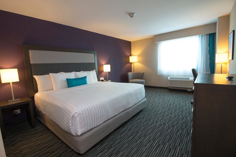 Executive Room, 1 King Bed, Non Smoking