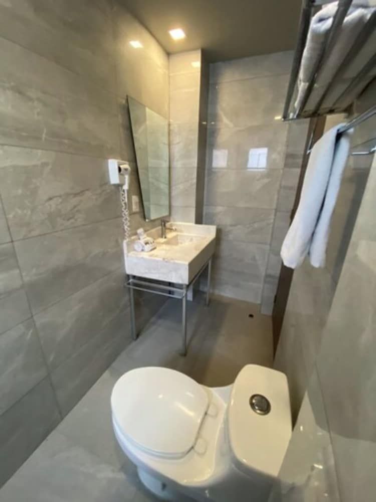 Suites Lerma Junior Studio Suite, 1 Queen Bed 6