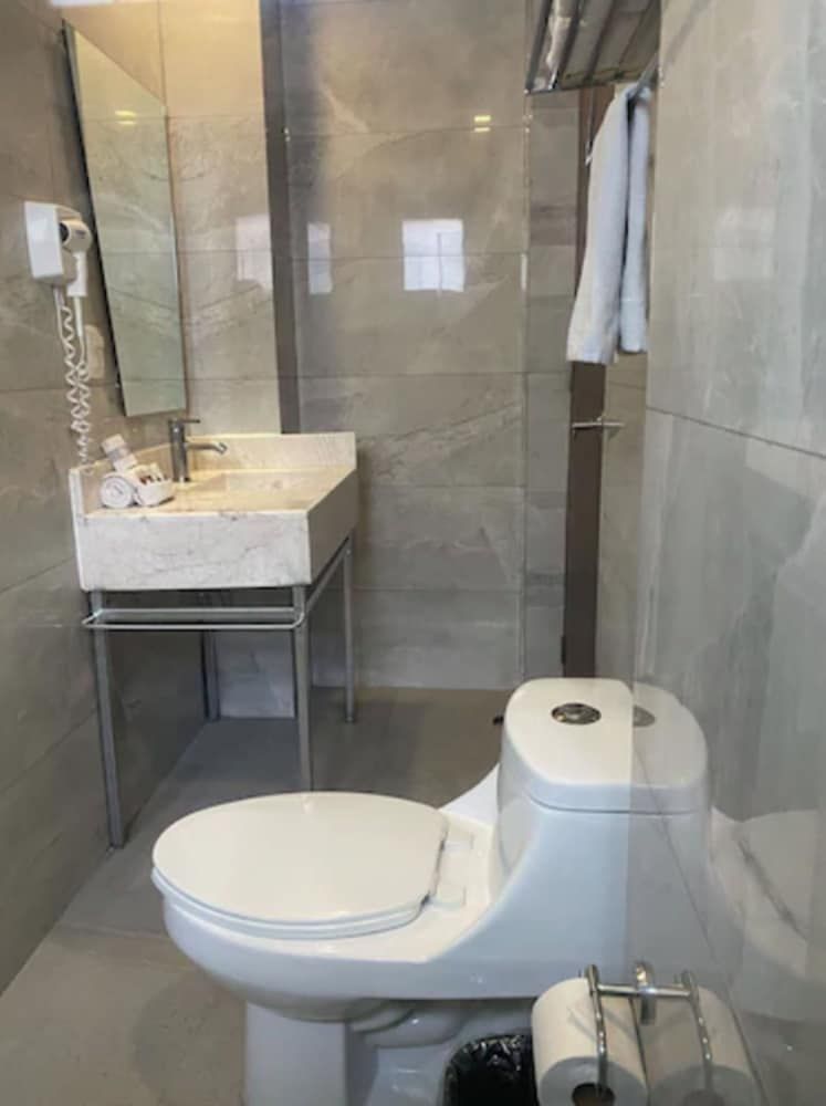 Suites Lerma Junior Studio Suite, 1 Queen Bed 7