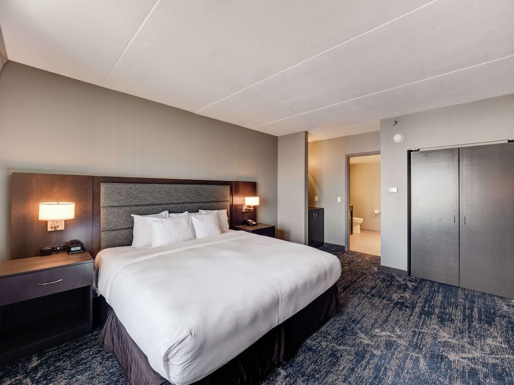 Executive Suite, 1 King Bed