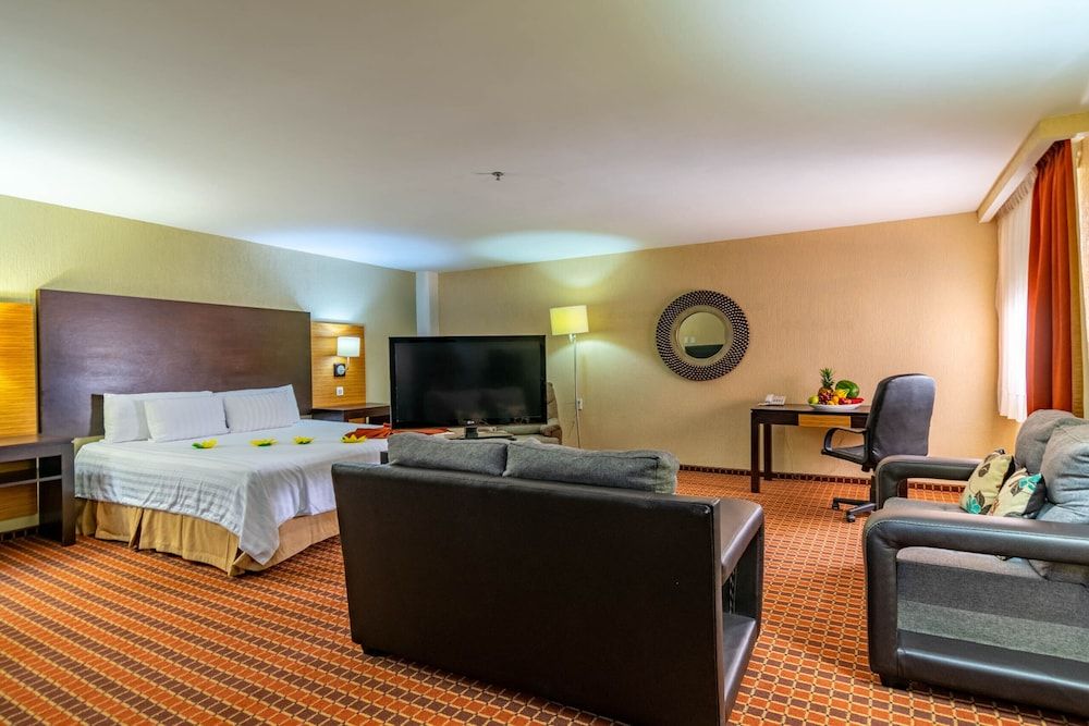 Junior Studio Suite