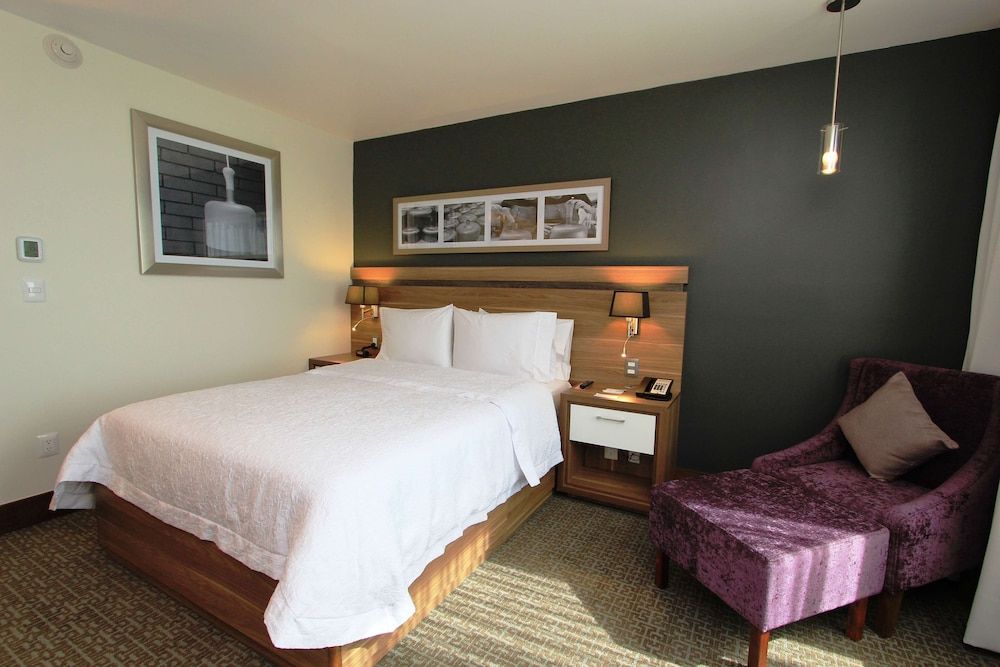 Room, 1 Queen Bed, Refrigerator