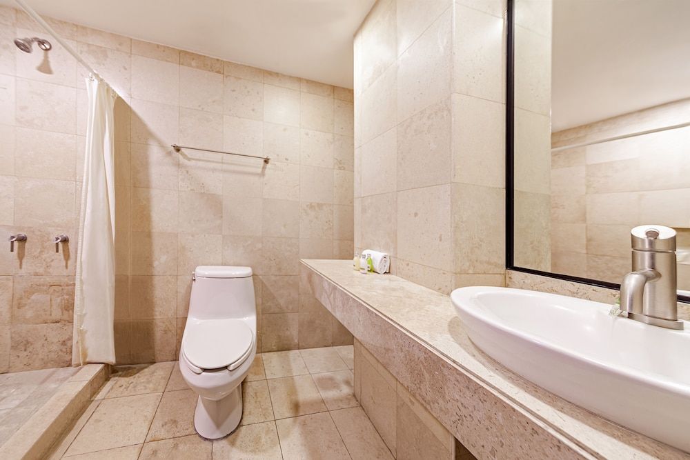 Suites Teca Once Suite Senior 13