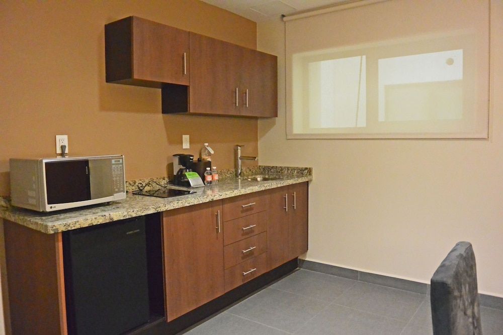 Wyndham Garden Mexico City Reforma Suite, 1 Queen Bed 14