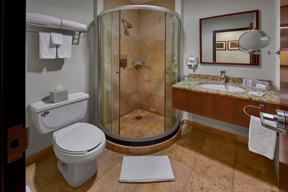 Senia Reforma Suite, 1 Queen Bed 4