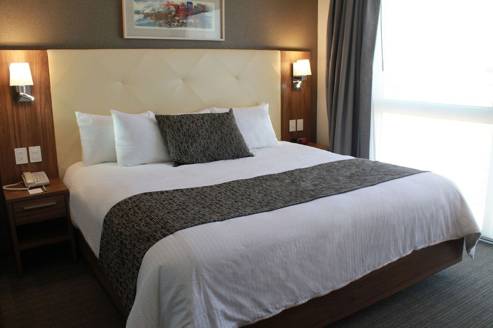 Hotel Casa Inn Business Irapuato Standard Room, 1 King Bed 2