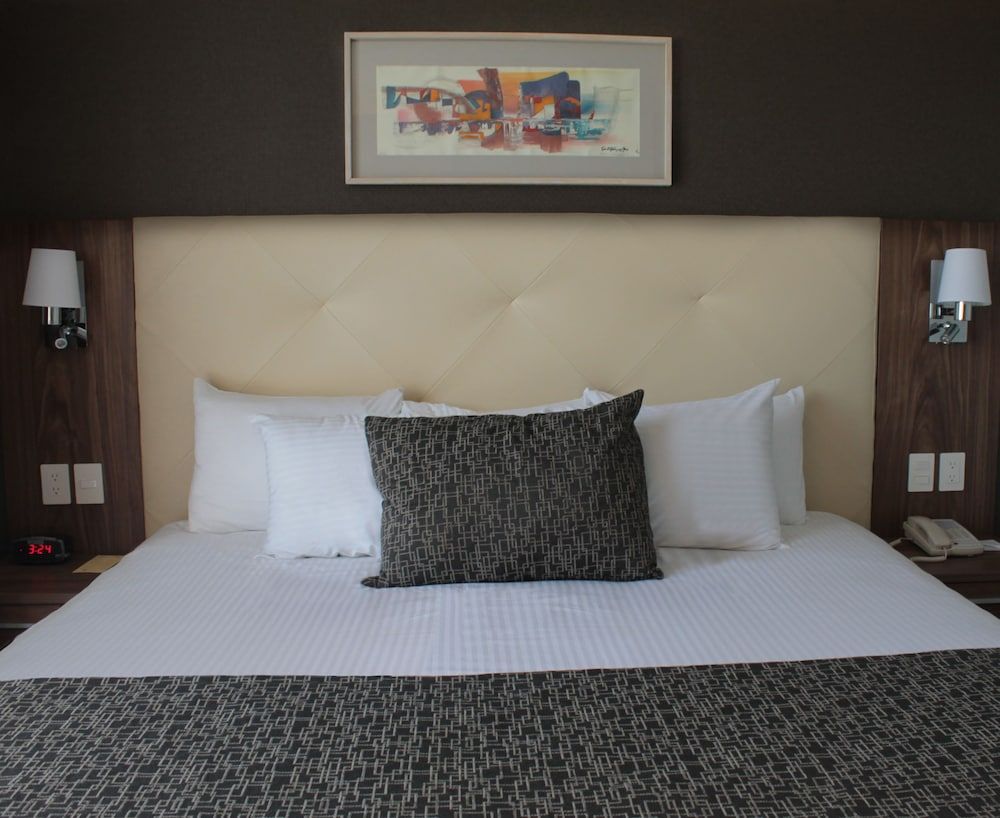 Hotel Casa Inn Business Irapuato Standard Room, 1 King Bed 9