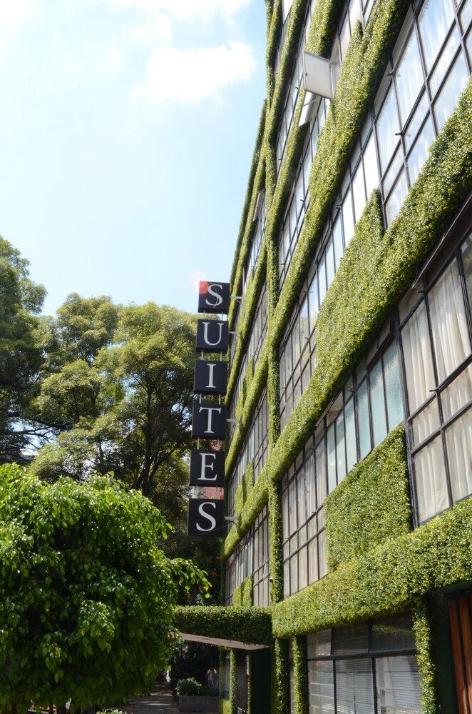 undefined Suites Havre 3