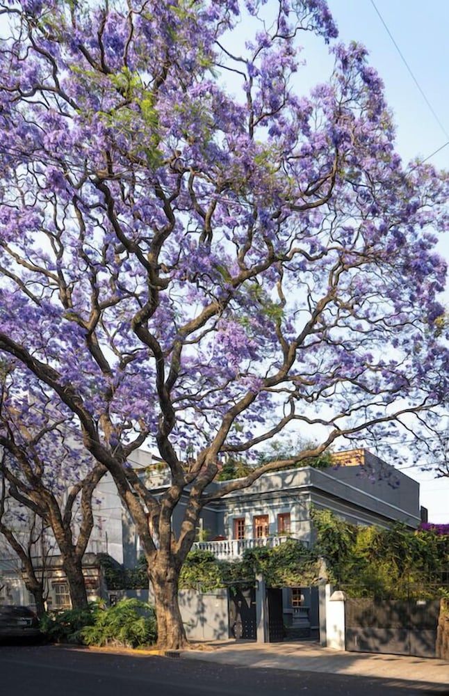 undefined Ignacia Guest House 6