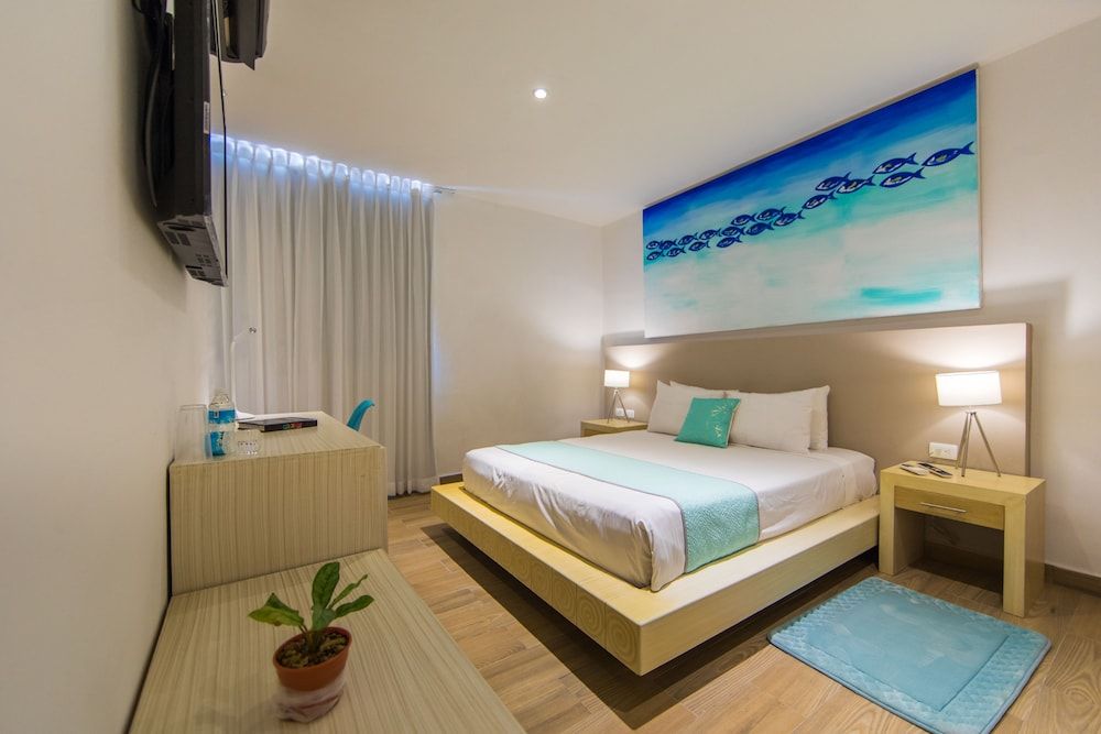 Hotel Ojo de Agua Standard Room 2