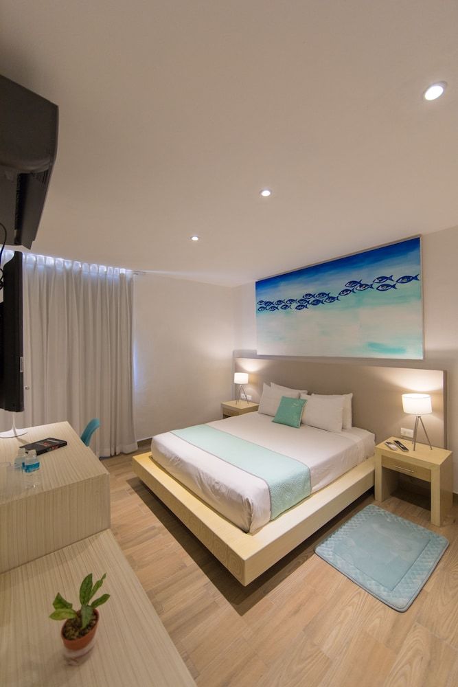 Hotel Ojo de Agua Standard Room 9