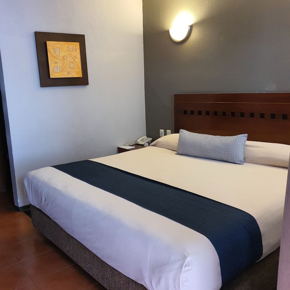 Hotel Panamerican Economy Room, 1 King Bed 2