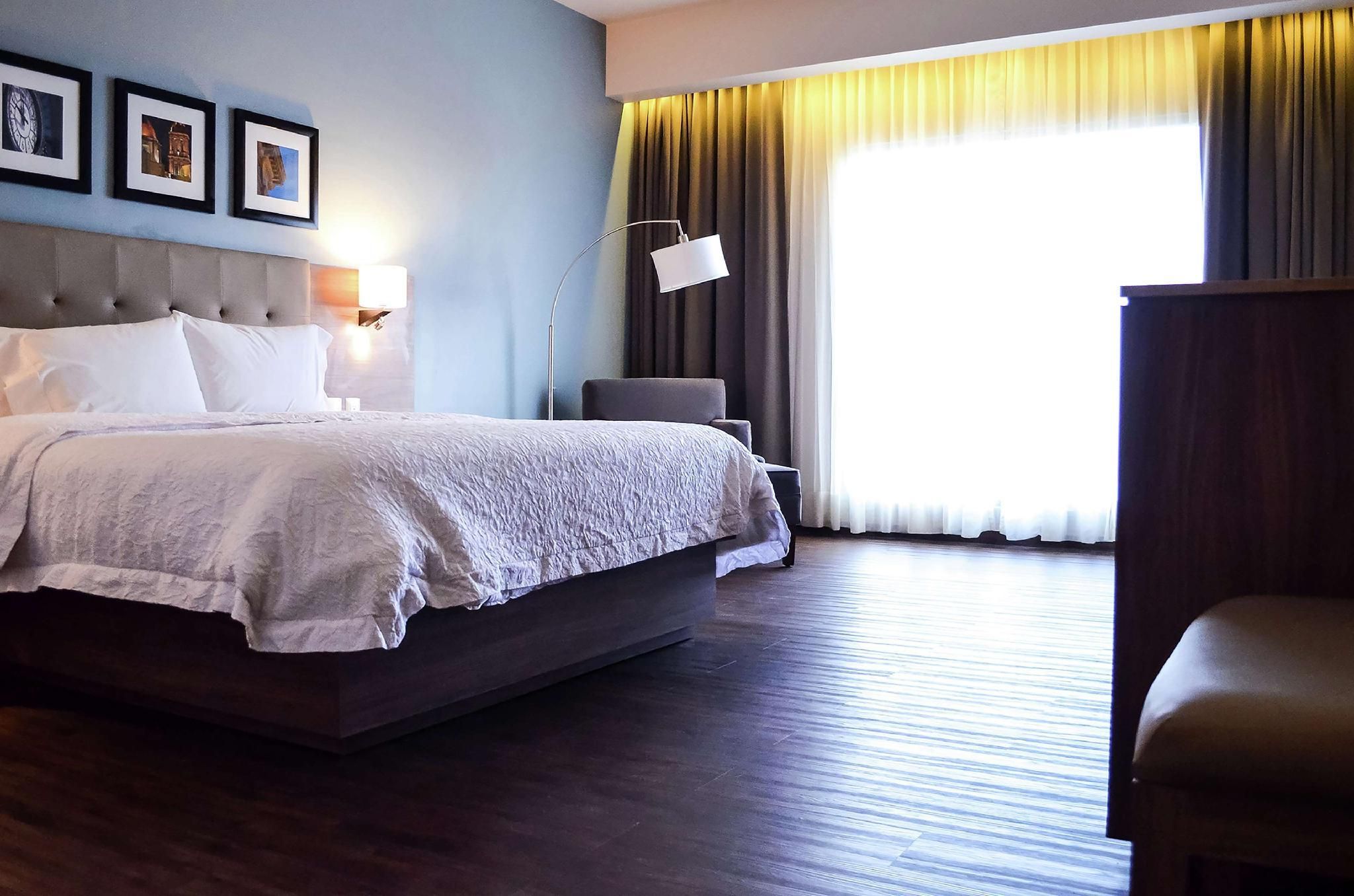 1 King W/Refrigerator Nonsmoking