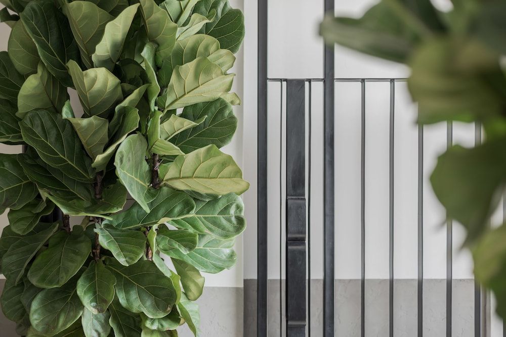 undefined Bunk & Bilik Hotel Jalan Ipoh - Hostel 3