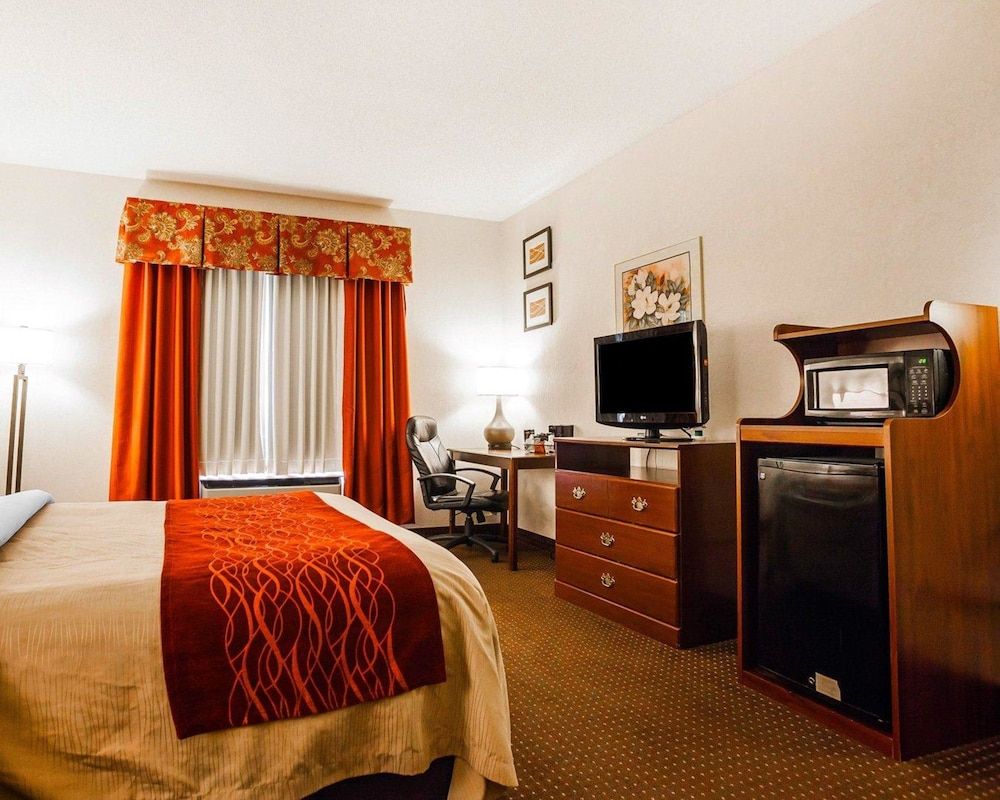 Room, 1 King Bed