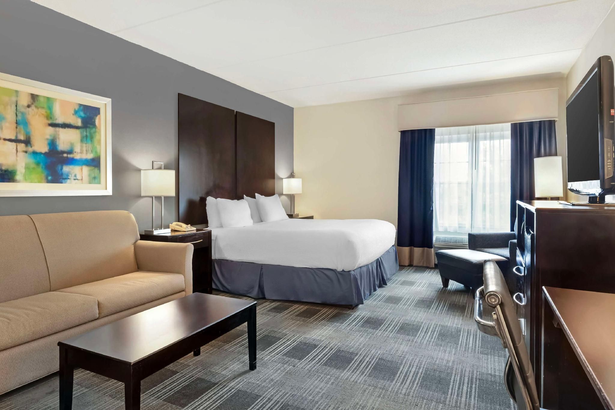 Suite - 1 King Bed, Nonsmoking, Separate Bedroom, Sofabed, Living Area