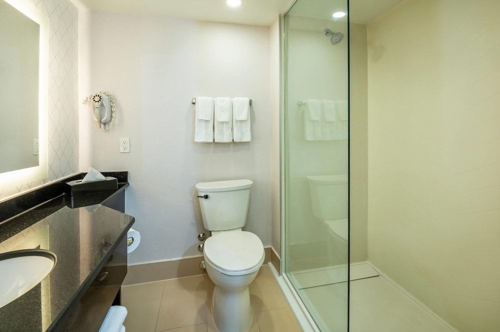 Comfort Inn & Conference Centre Toronto Airport Room, 1 King Bed, Non Smoking 9