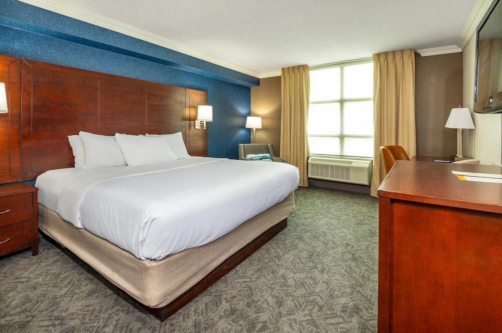 Comfort Inn & Conference Centre Toronto Airport Room, 1 King Bed, Non Smoking 3