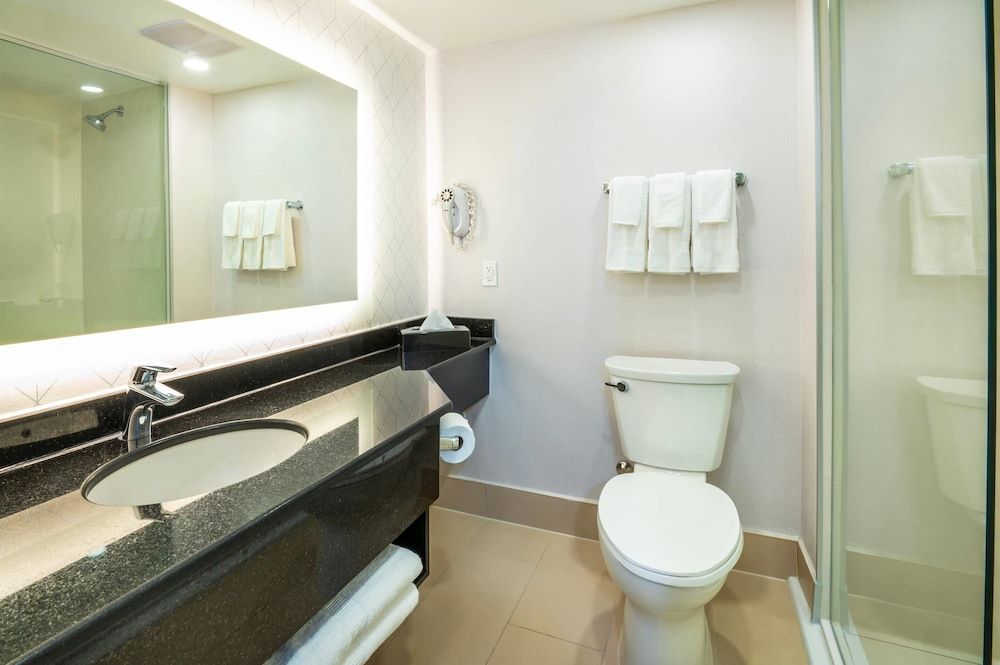 Comfort Inn & Conference Centre Toronto Airport Room, 1 King Bed, Non Smoking 11