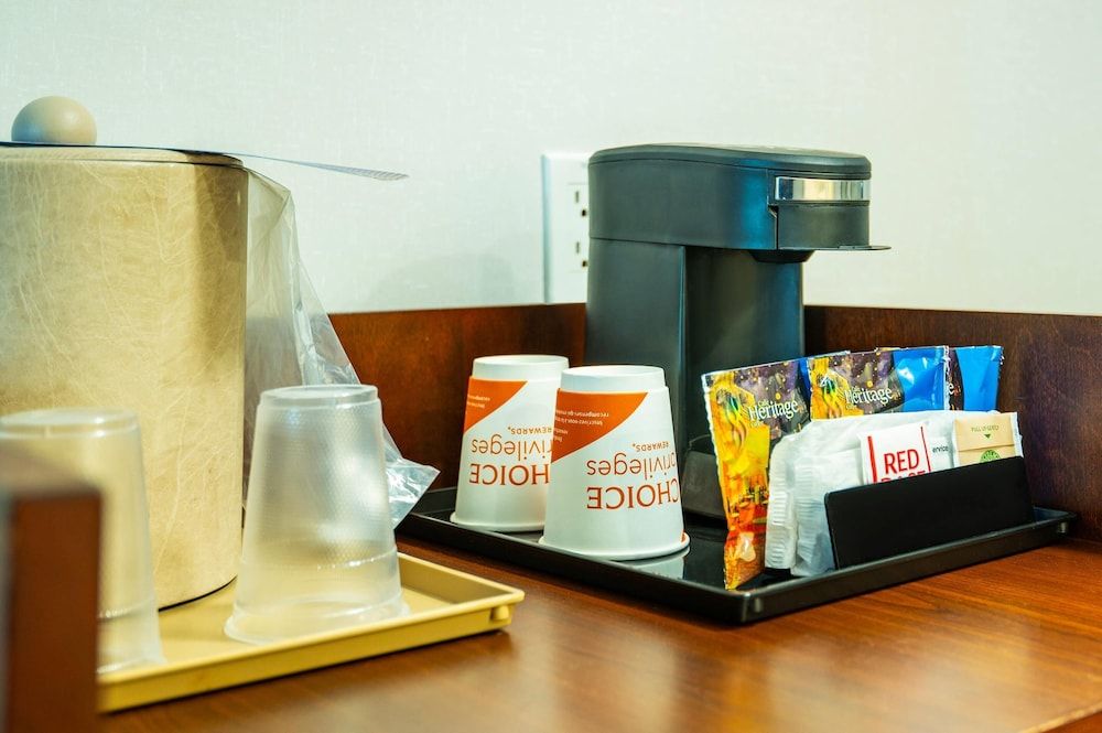 Comfort Inn & Conference Centre Toronto Airport Room, 1 King Bed, Non Smoking 13