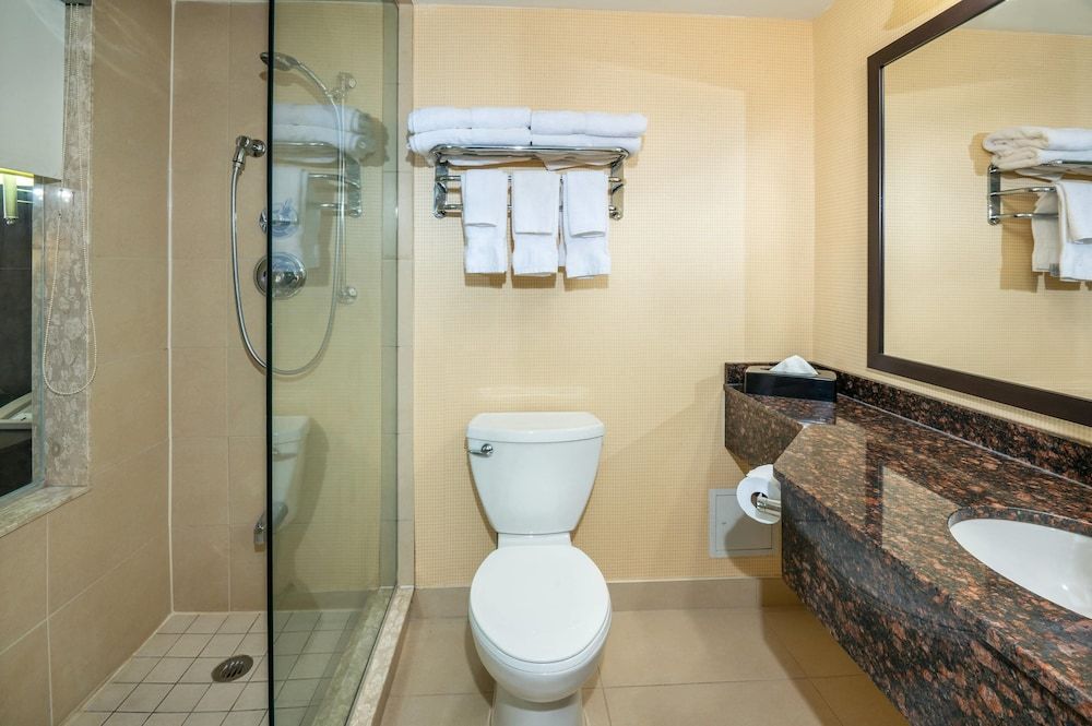 Comfort Inn & Conference Centre Toronto Airport Room, 1 King Bed, Non Smoking 7