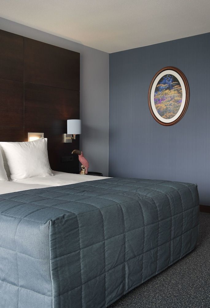 Van der Valk Hotel Sassenheim - Leiden Comfort Room 5