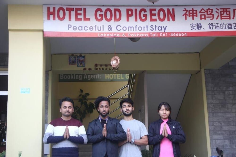 undefined Hotel God Pigeon 4