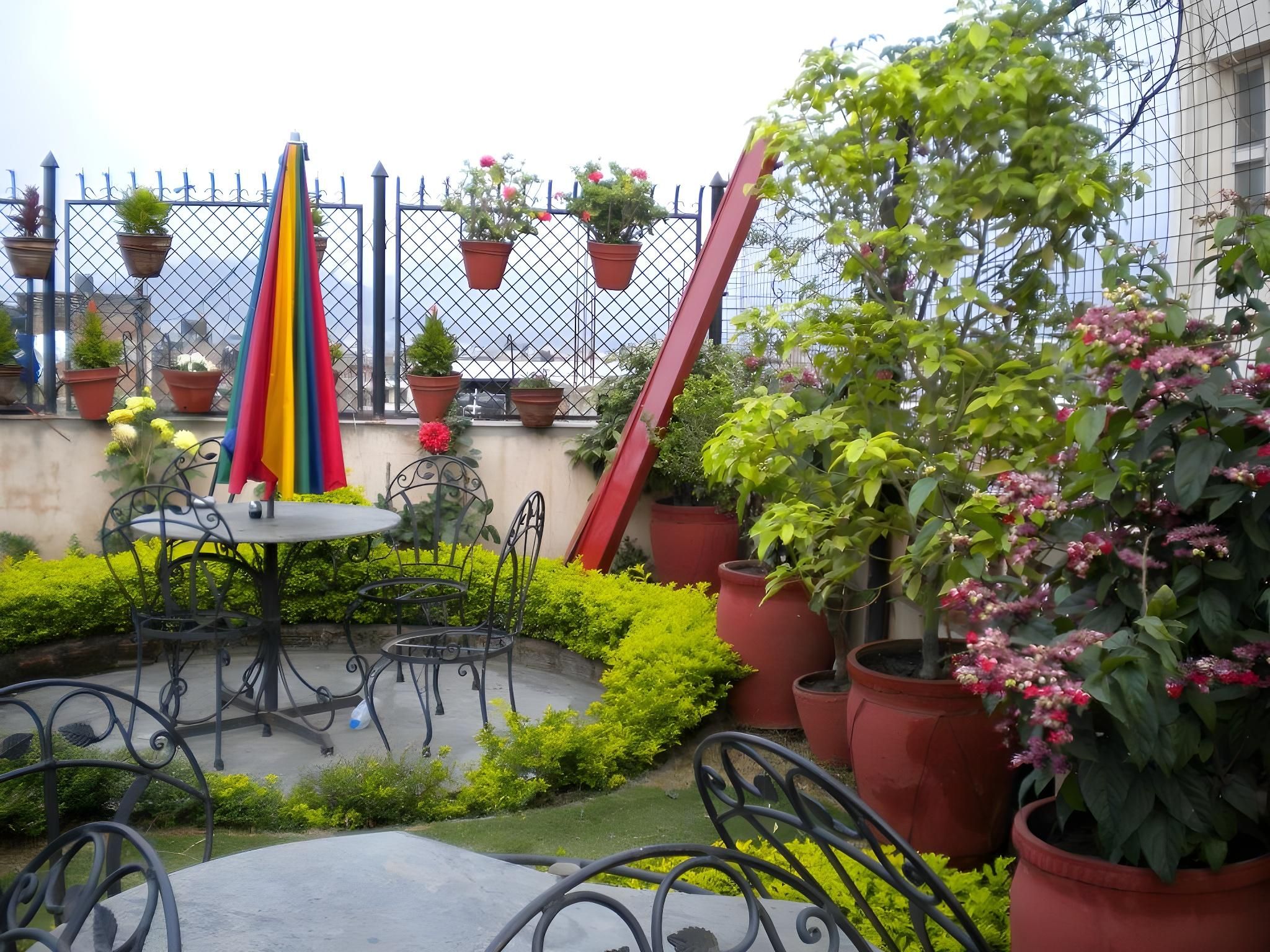 Garden