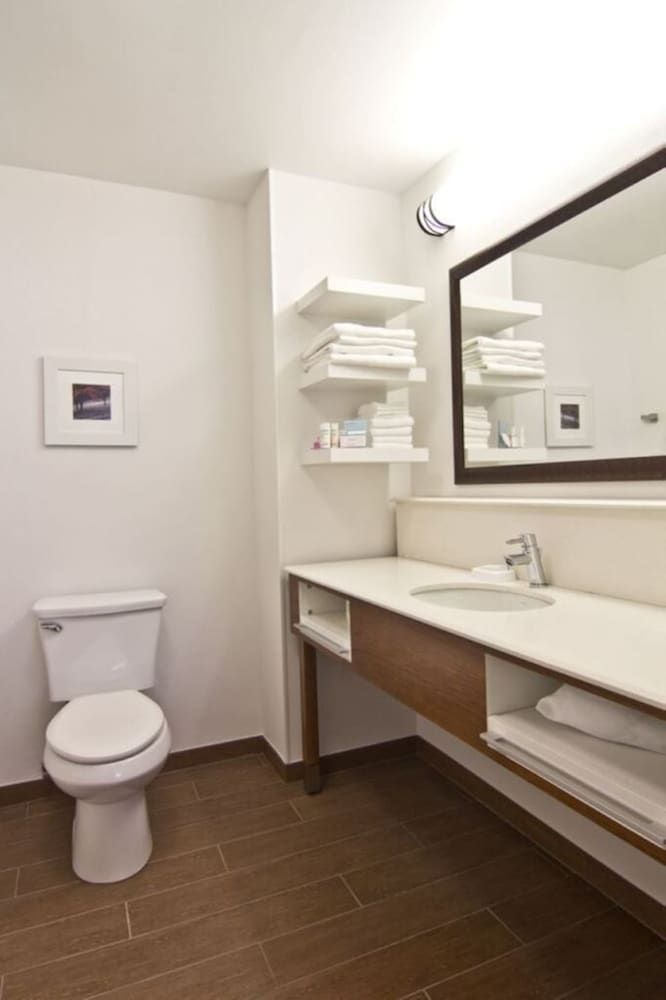 Suite, 1 King Bed, Accessible (No Kitchen, Shower Only)