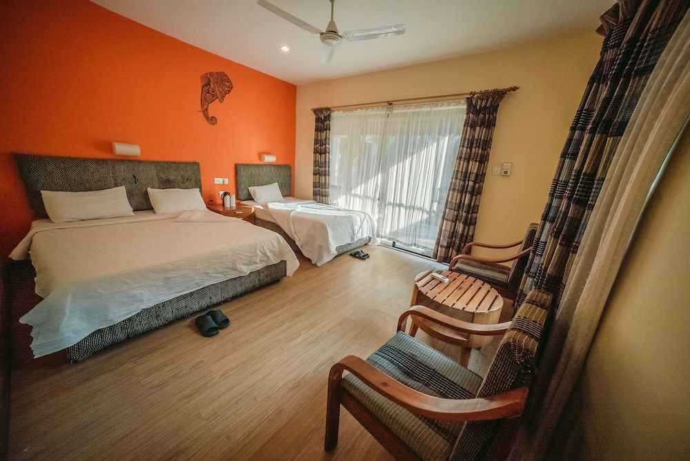 Into The Wild Eco Resort Standard Room 2