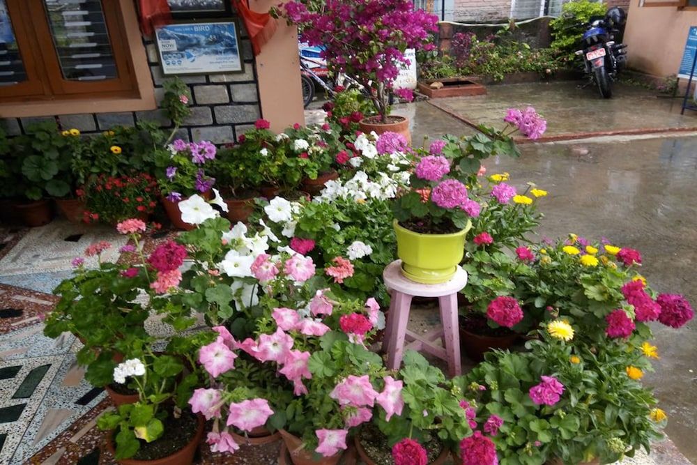 undefined Galaxy Inn Guest House 9