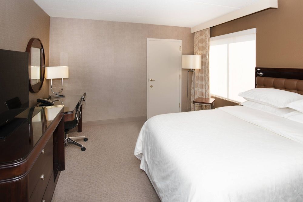 Room, 1 King Bed
