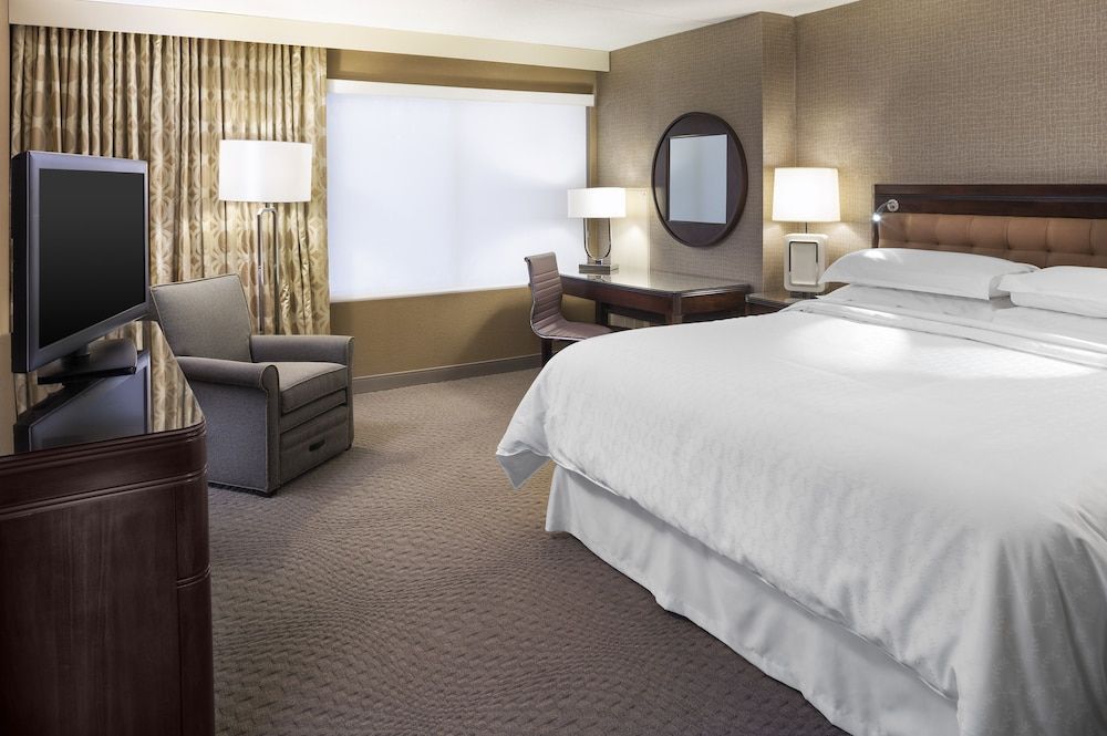 Room, 1 King Bed