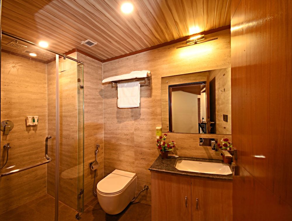 Hotel Thamel Park Superior Twin Room 10