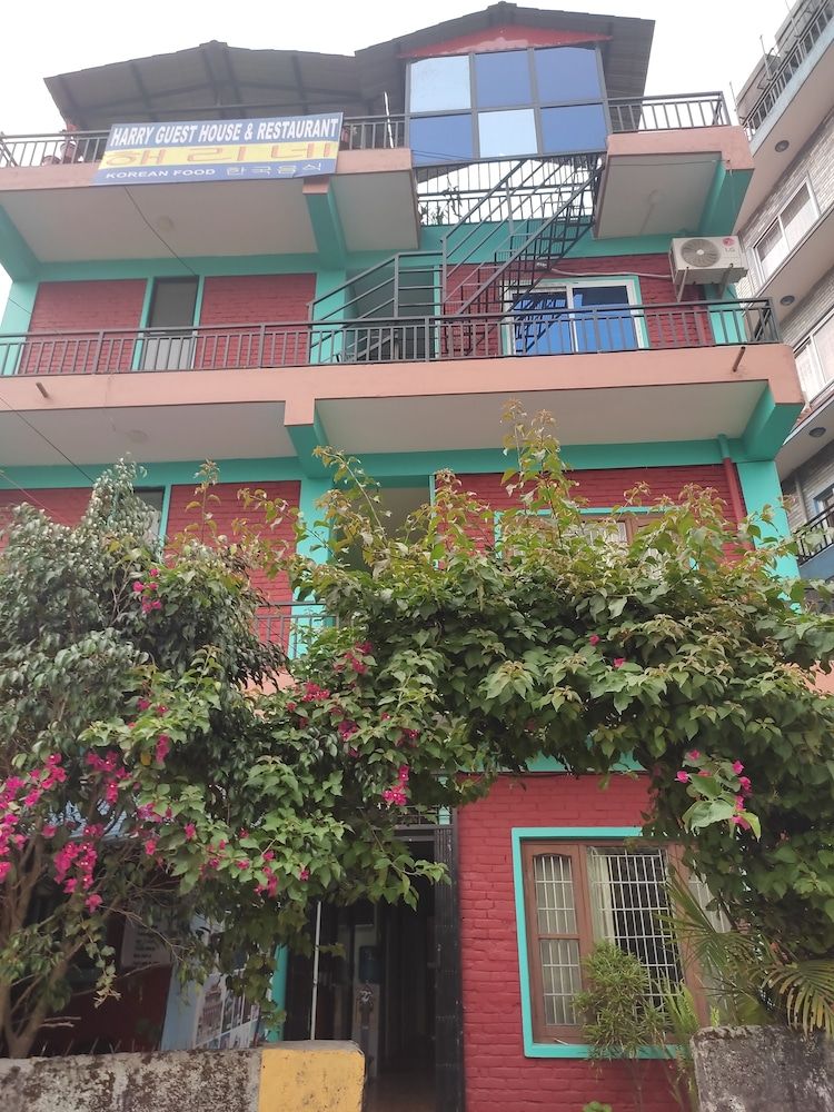 undefined Harry Guest House & Restaurant 8