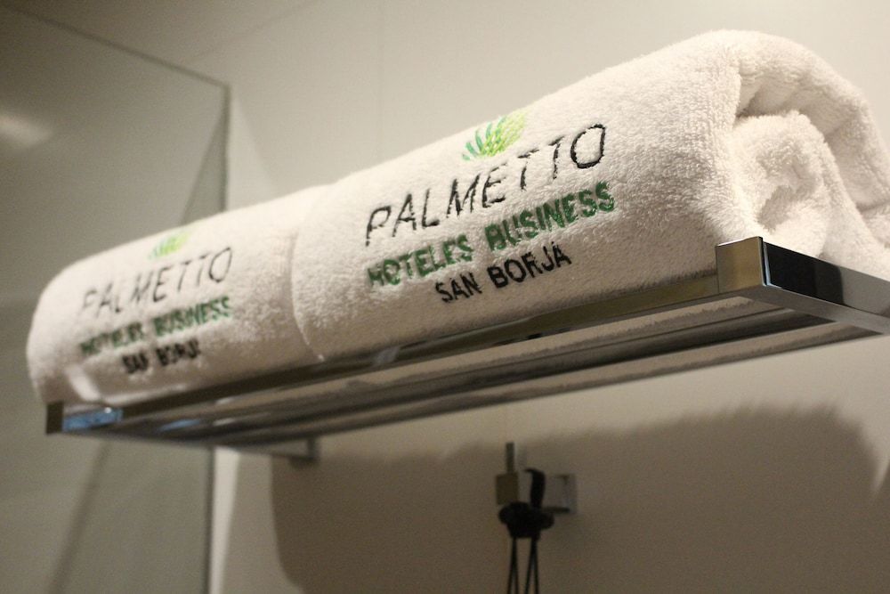 Palmetto Hotel Business San Borja Standard Room 7