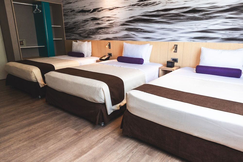 undefined Palmetto Hotel Business San Borja 9