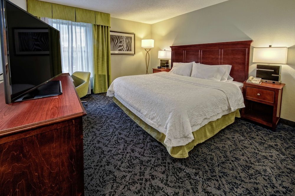 Room, 1 King Bed