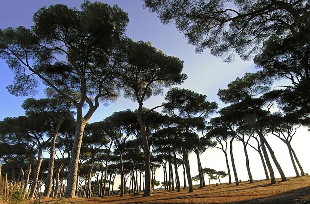 undefined Pinewood Hotel Rome 9