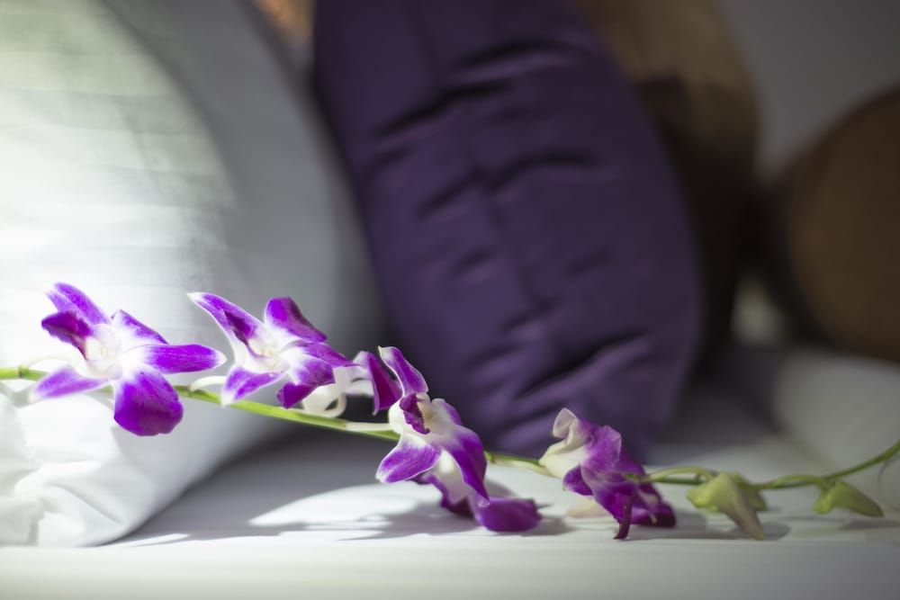 Golden Bujari Al Khobar Hotel Premier Double or Twin Room