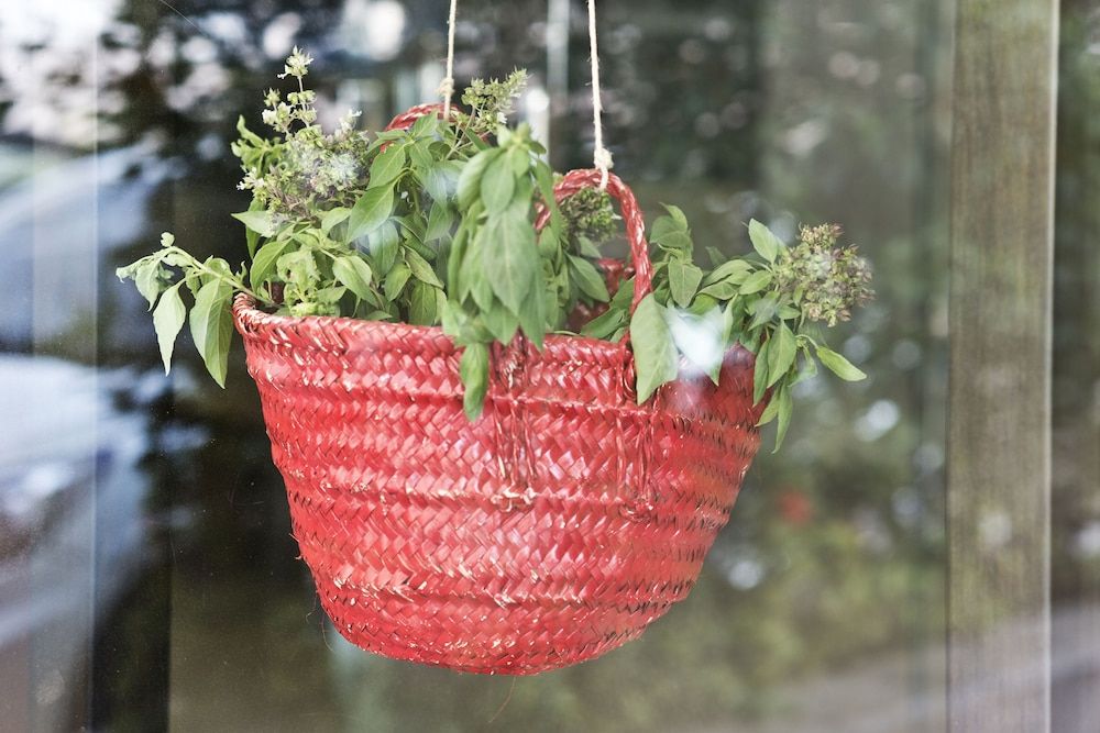 undefined Dara Hamra 4